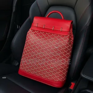Goyard Backpack in Multi Color