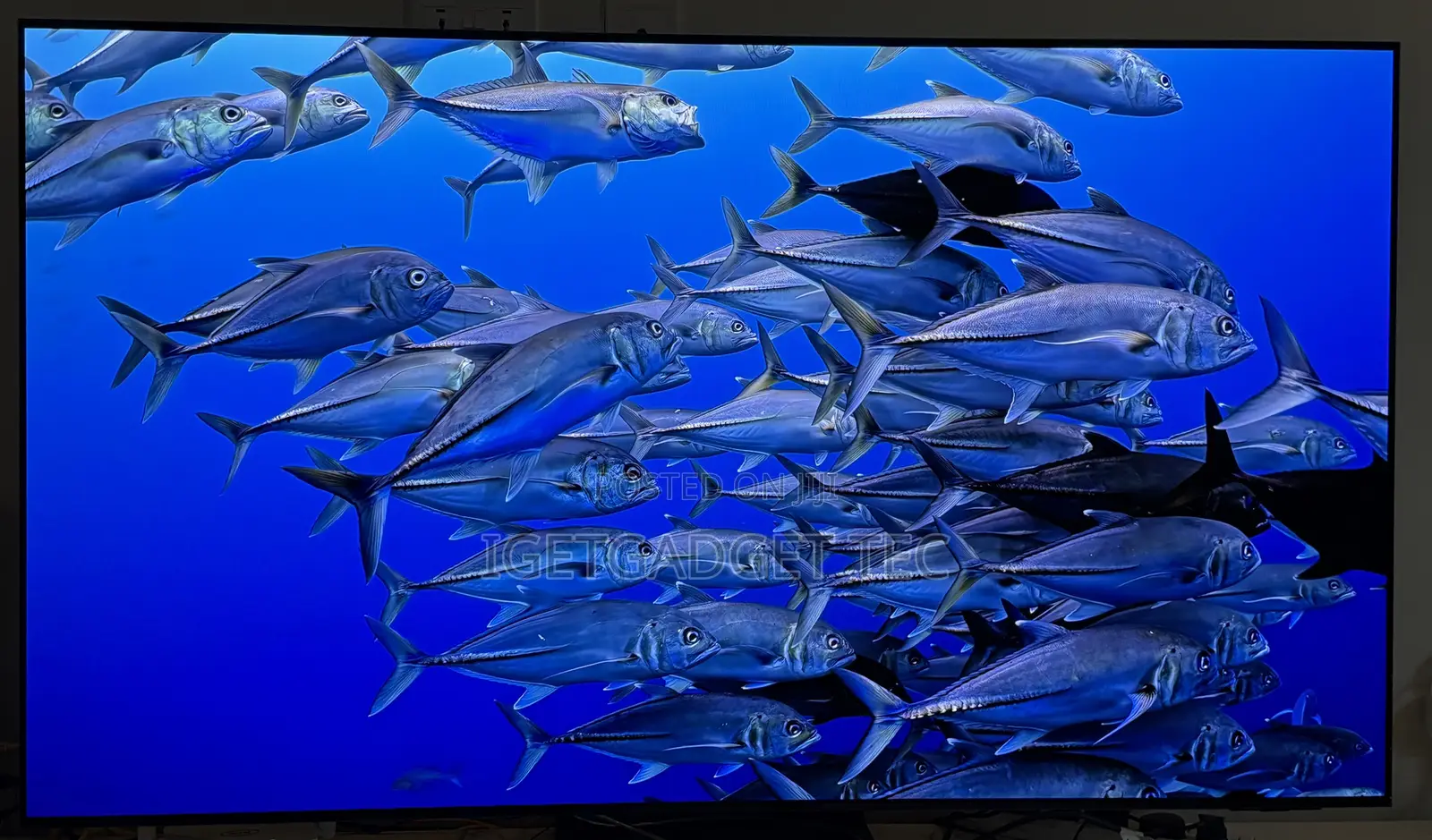Samsung 65′′ S95c Oled Smart Tv