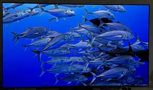 Samsung 65′′ S95c Oled Smart Tv