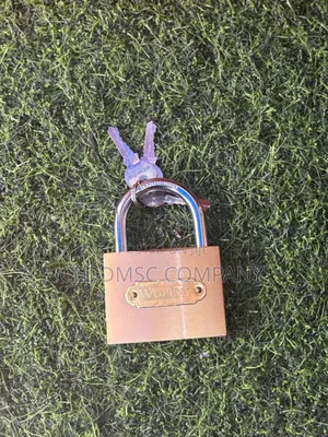 Original Durable Padlocks