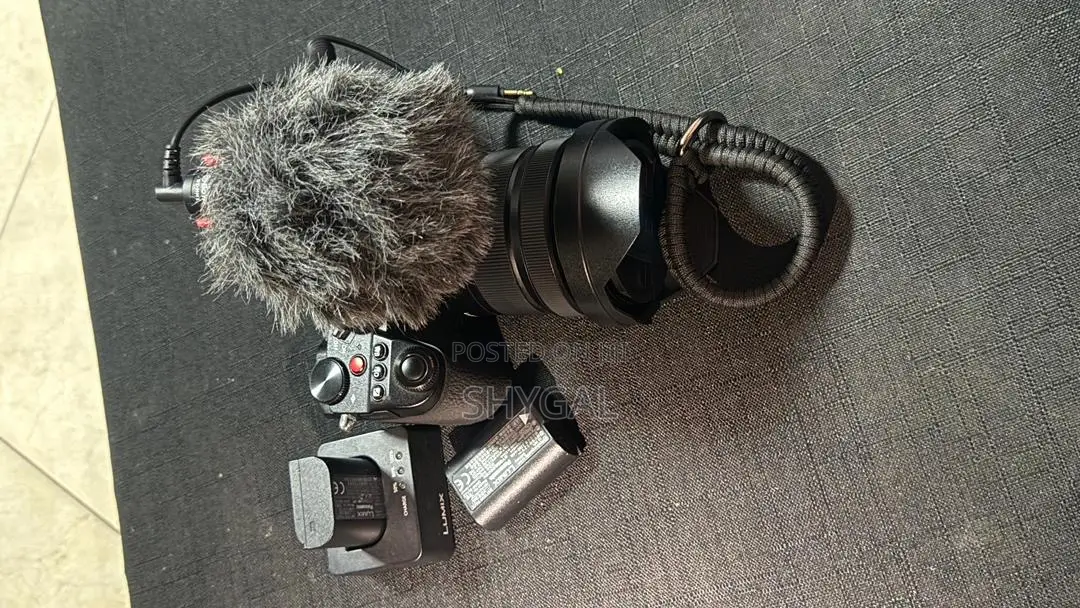 Panasonic Lumix S5