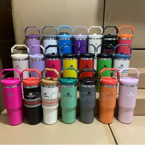 30oz Mini Stanley Cups Available