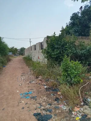 Half Plot of Land for Sale at Amanfrom
