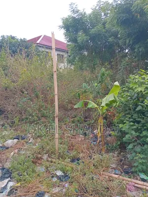 Half Plot of Land for Sale at Amanfrom