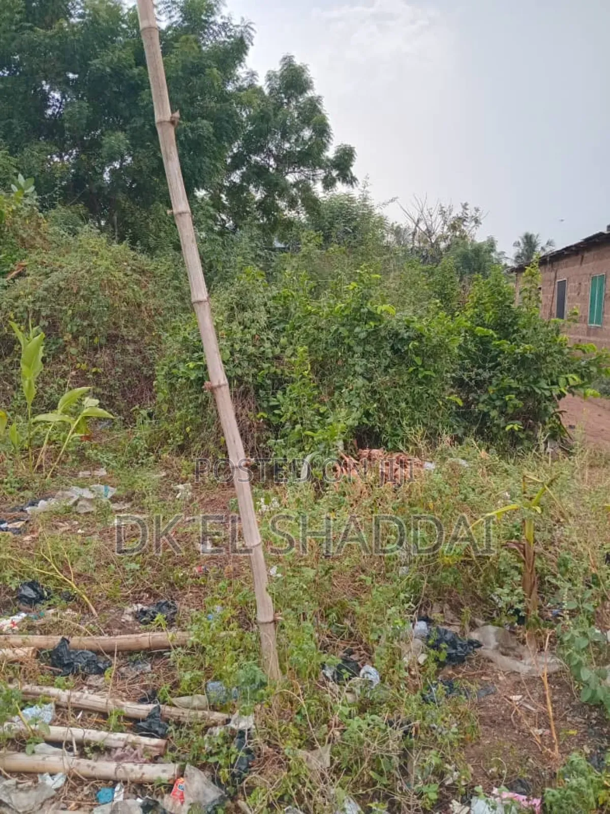 Half Plot of Land for Sale at Amanfrom