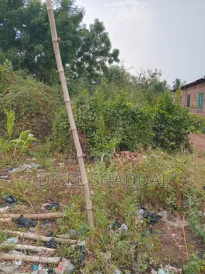 Half Plot of Land for Sale at Amanfrom