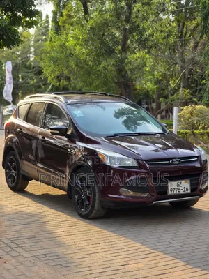 Ford Escape SE 2013 Burgundy