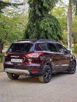 Ford Escape SE 2013 Burgundy