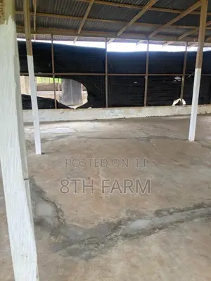 Poultry Farm Pens Available for Rent