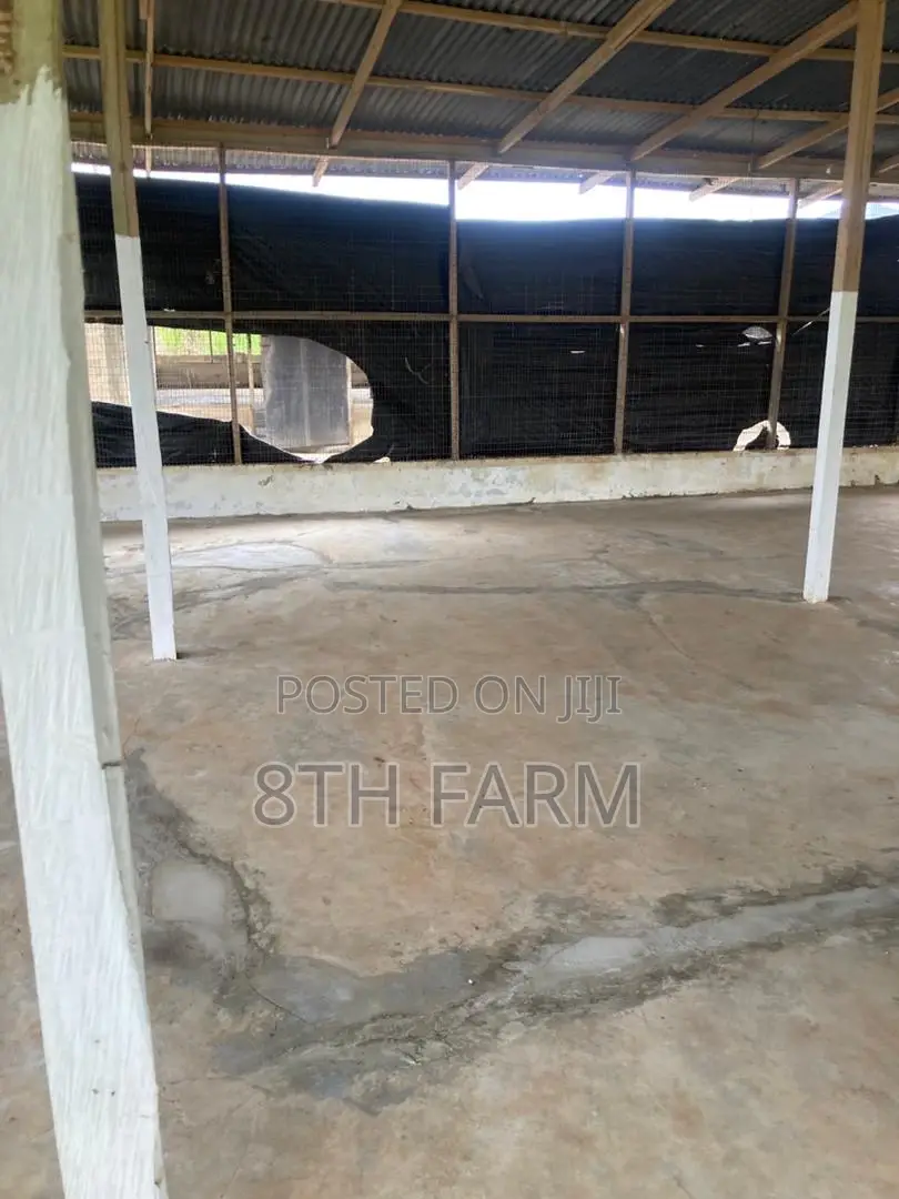 Poultry Farm Pens Available for Rent