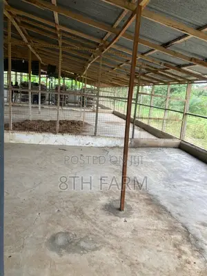 Poultry Farm Pens Available for Rent