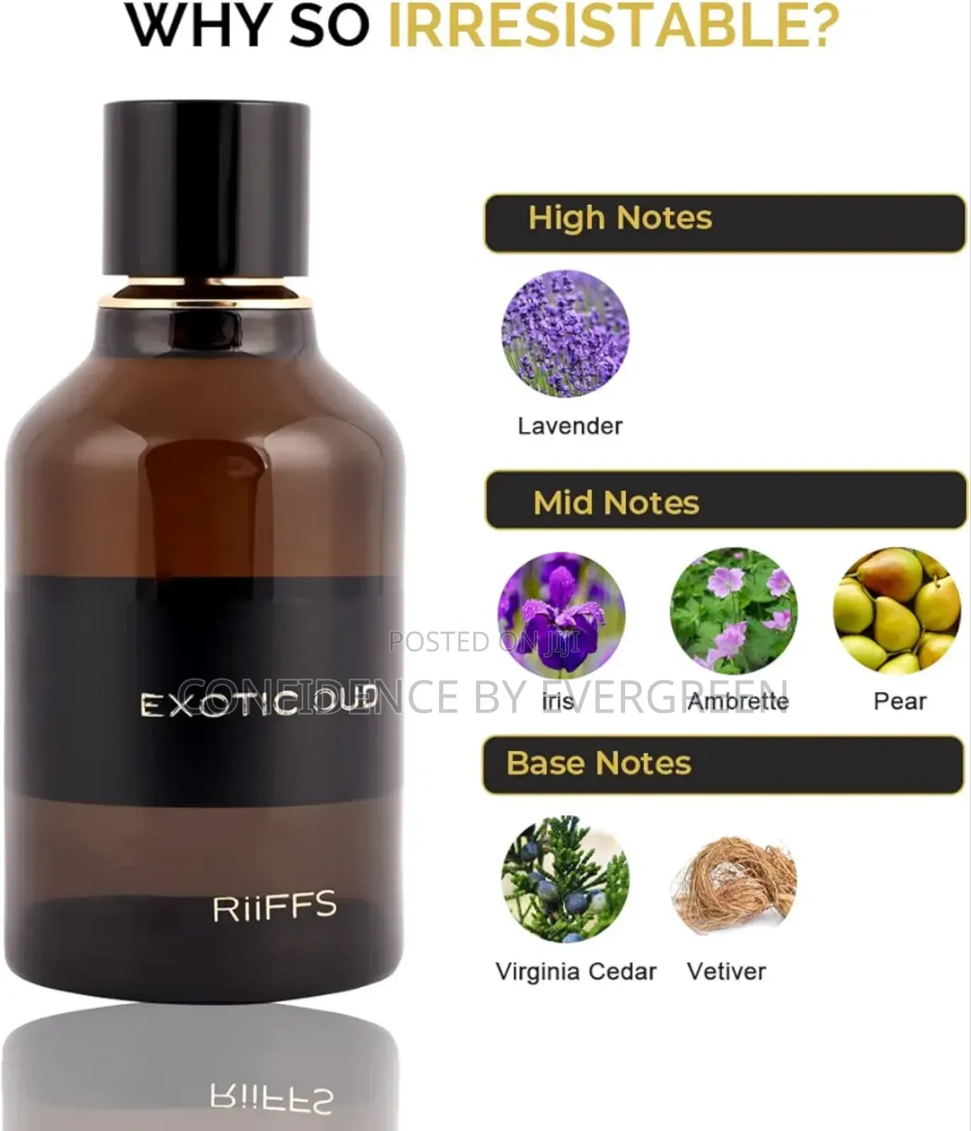 Exotic Oud by Riffs