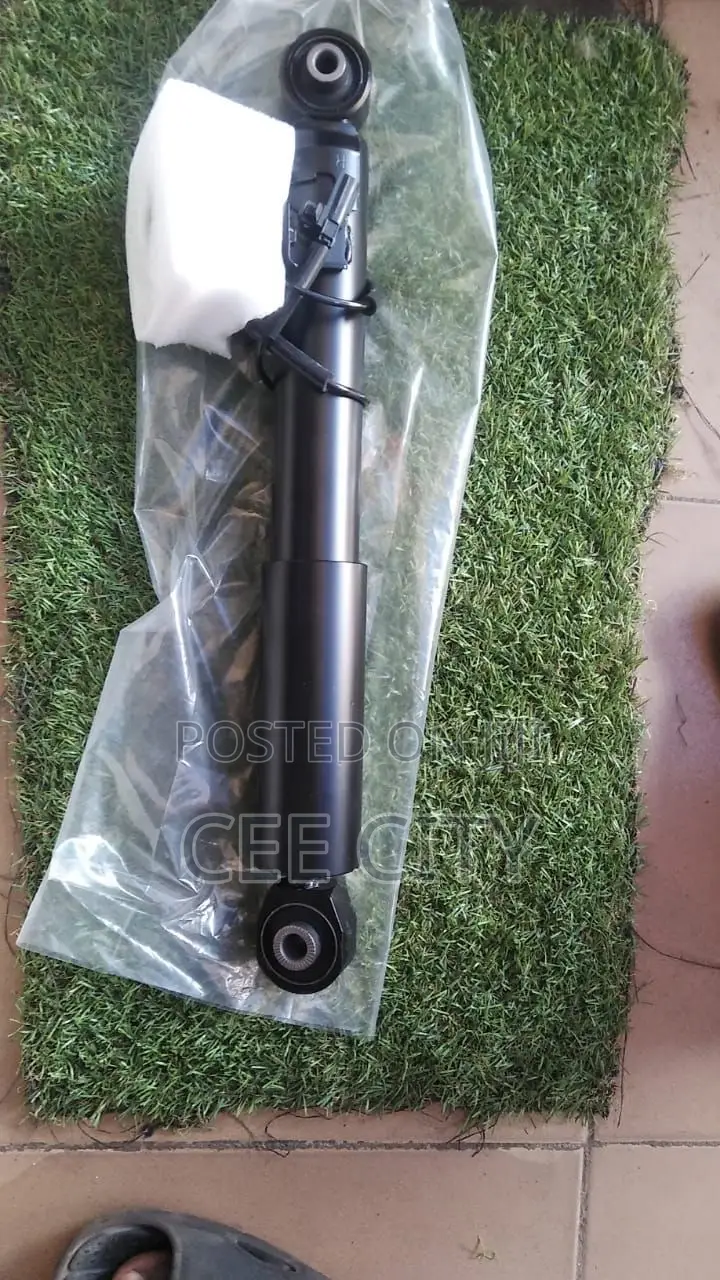 Lexus Rx 350 Back Shock Absorbers