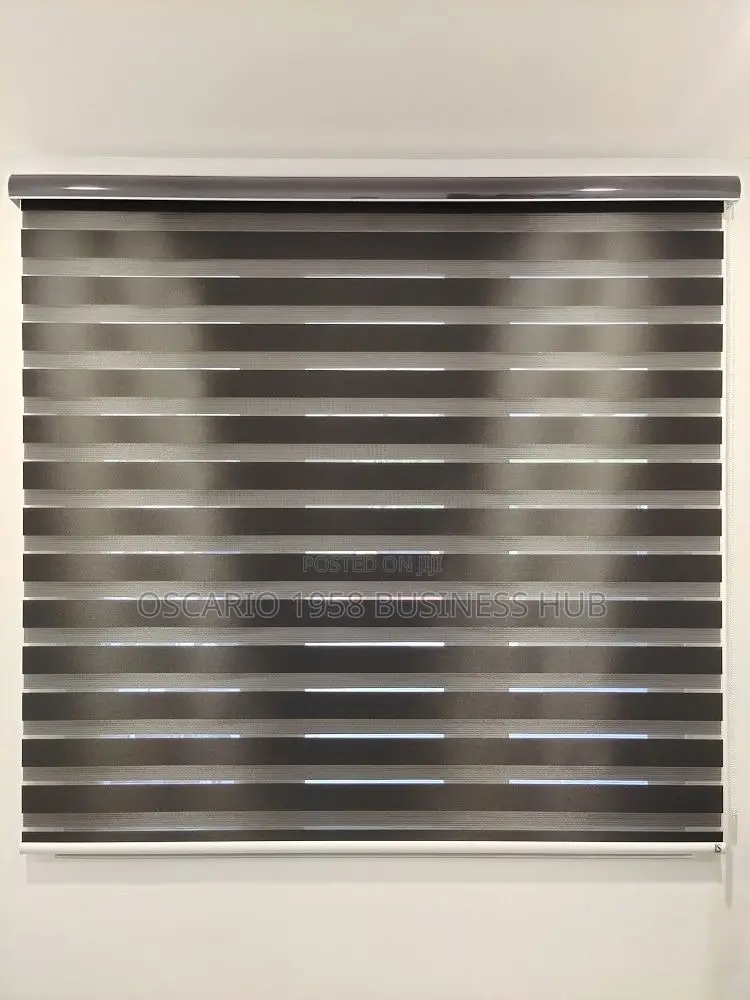Pathetic Window Curtain Blinds