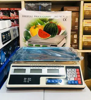 Digital Computing Kitchen Scale