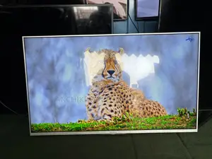 Sony Bravia Android 43 Inch Digital Satellite Bluetooth Tv