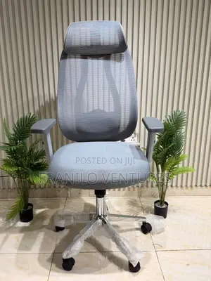 Ergonomic Mesh Office Chair