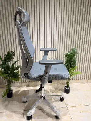 Ergonomic Mesh Office Chair