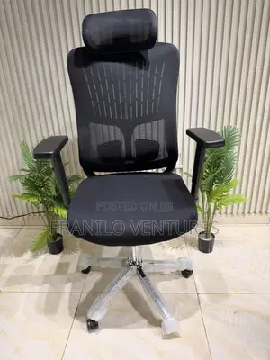 Office/ Executive Chairs