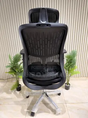 Office/ Executive Chairs