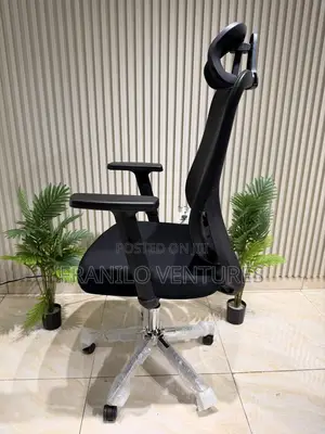 Office/ Executive Chairs