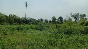 Western Region, Shama District (Beposo) _ 102 Acres Farmland