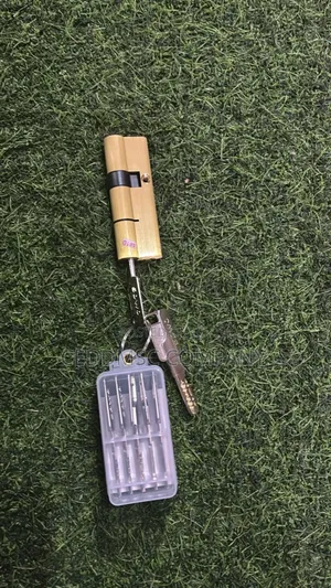 Security Paladin Door Cylinder