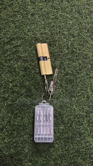 Security Paladin Door Cylinder