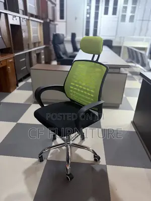 Mesh Executive Office Chair