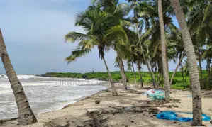 Western Region, Ahanta Dist (Butre) _ 1.13 Acres Oceanfront Land