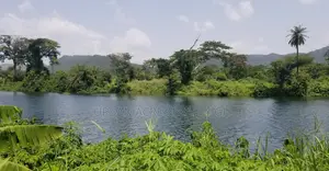 E/R, Akosombo (Atimpoku) _ 18 Plots Island on Volta River