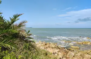 Western Region, Ahanta Dist (Dixcove) _ 5+ Acres Oceanfront Land
