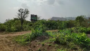 Volta Region, Ho (Sokode - Etoe) _ 20 Plots Building Land