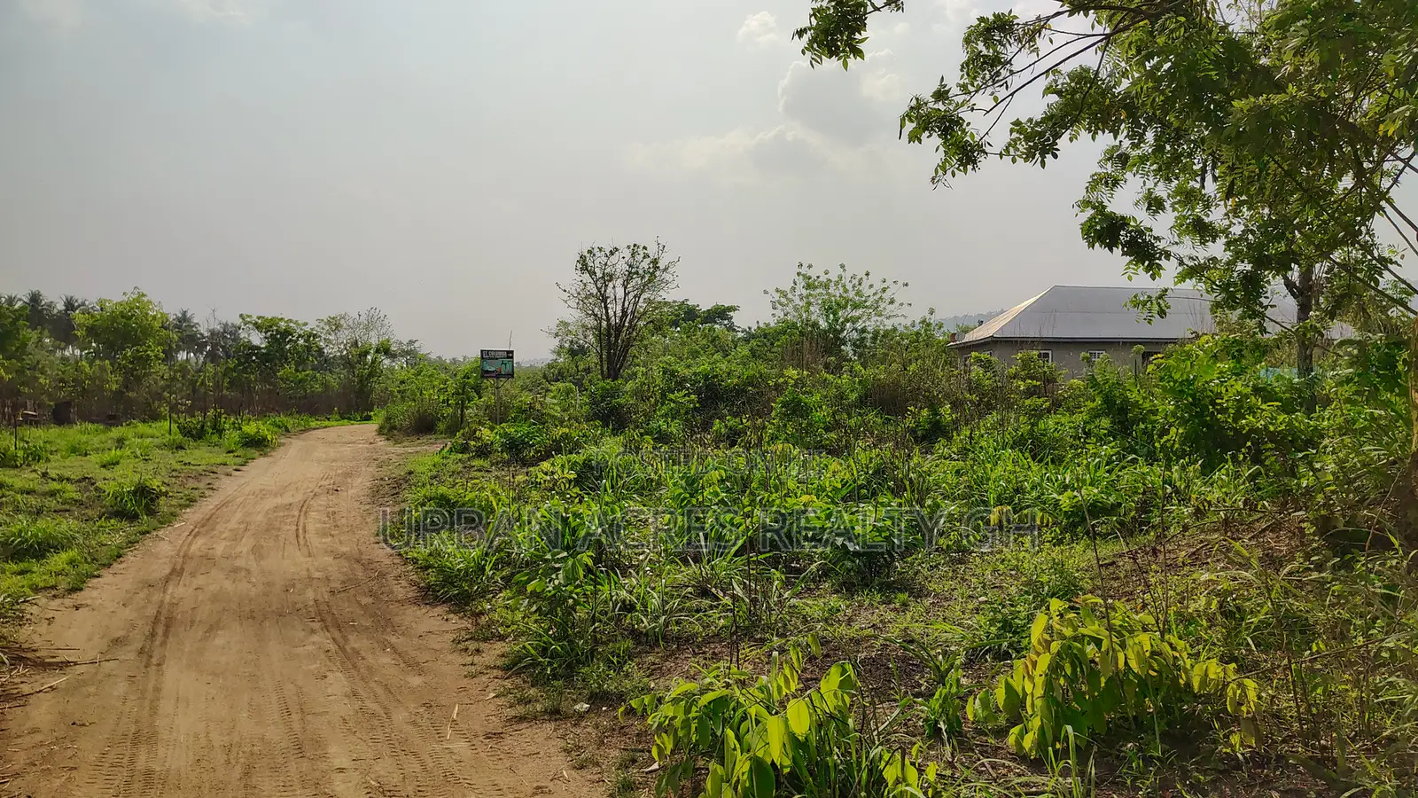Volta Region, Ho (Sokode - Etoe) _ 20 Plots Building Land