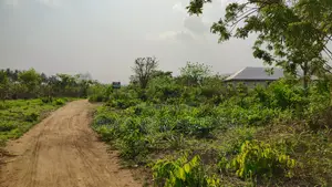 Volta Region, Ho (Sokode - Etoe) _ 20 Plots Building Land