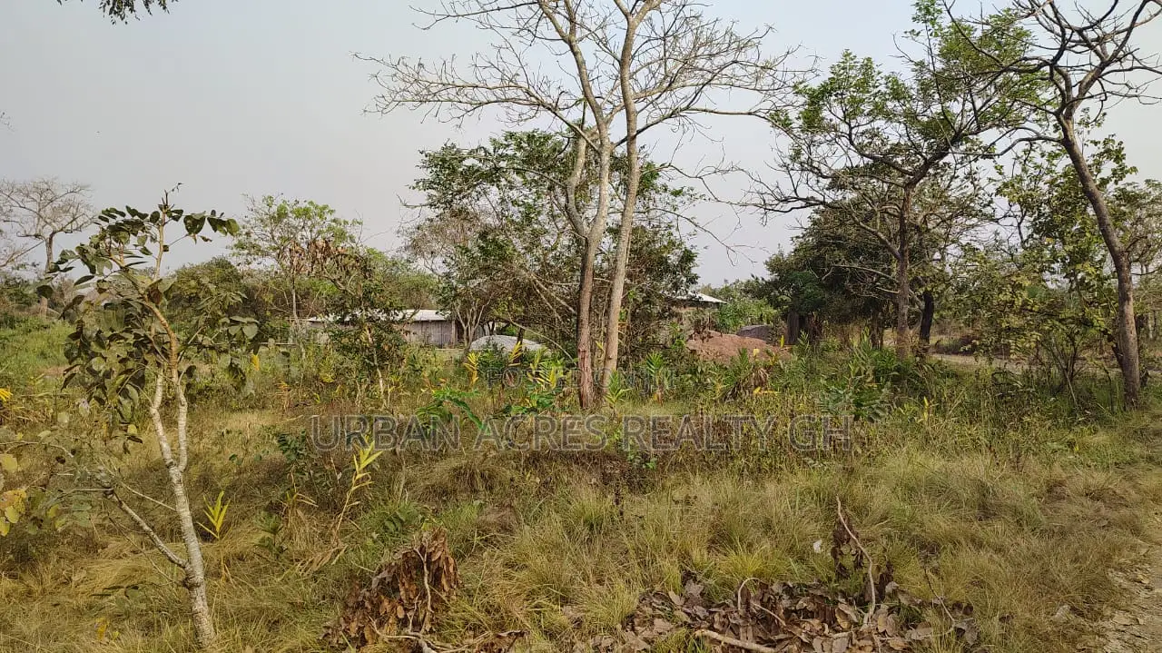 Volta Region, Ho (Sokode - Etoe) _ 20 Plots Building Land