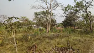 Volta Region, Ho (Sokode - Etoe) _ 20 Plots Building Land