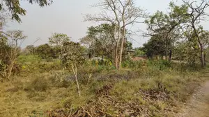 Volta Region, Ho (Sokode - Etoe) _ 20 Plots Building Land