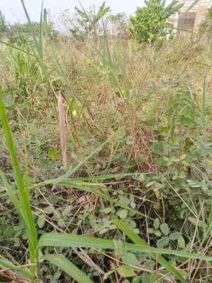 Building Plot for Sale