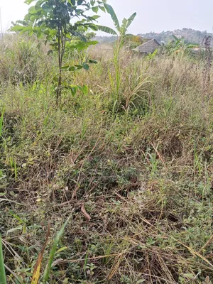 Building Plot for Sale