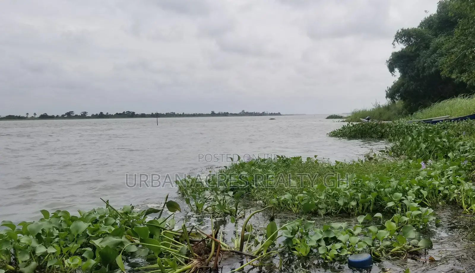 Volta Region, Sogakope (Agave) _ 80+ Acres Island on Volta River