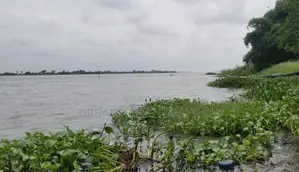 Volta Region, Sogakope (Agave) _ 80+ Acres Island on Volta River