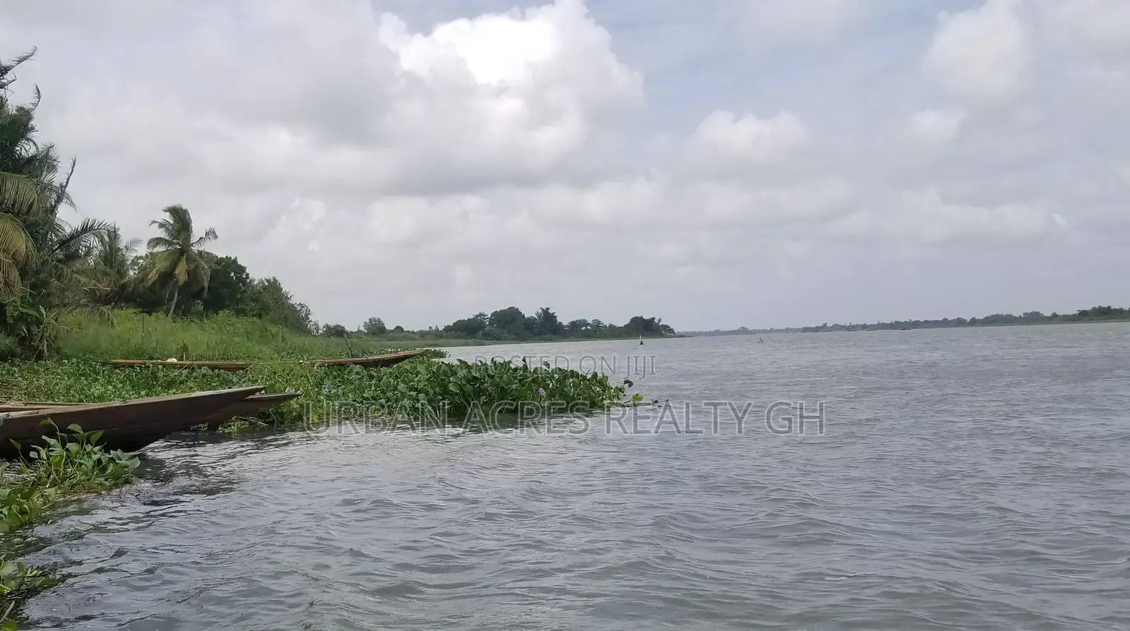 Volta Region, Sogakope (Agave) _ 80+ Acres Island on Volta River