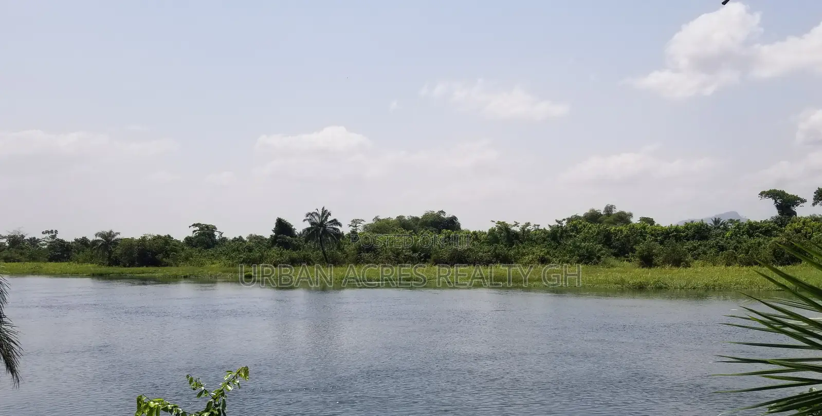 Volta Region, Sogakope (Agave) _ 80+ Acres Island on Volta River