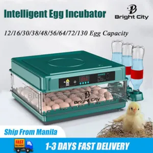 48 Egg Incubators, Automatic