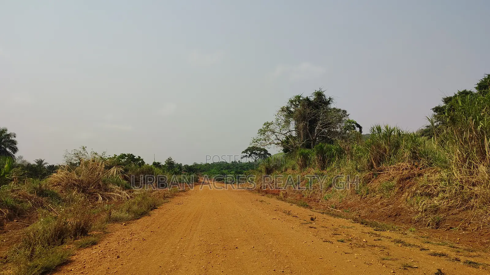Volta Region, Abutia _ 50+ Acres Crop Farmland
