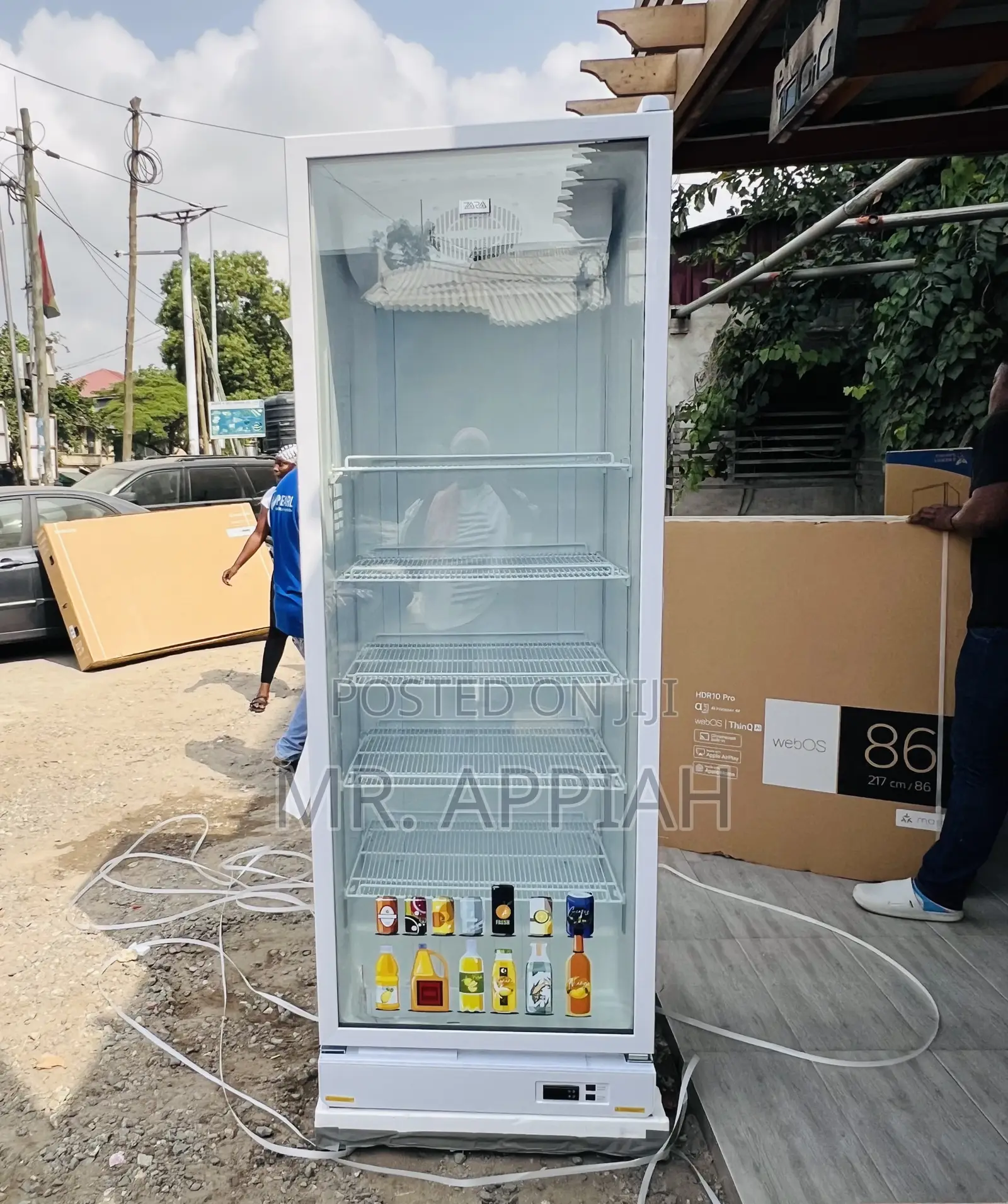 Order Zara-600dfg 591liters Single Door Electric Display Fridge 