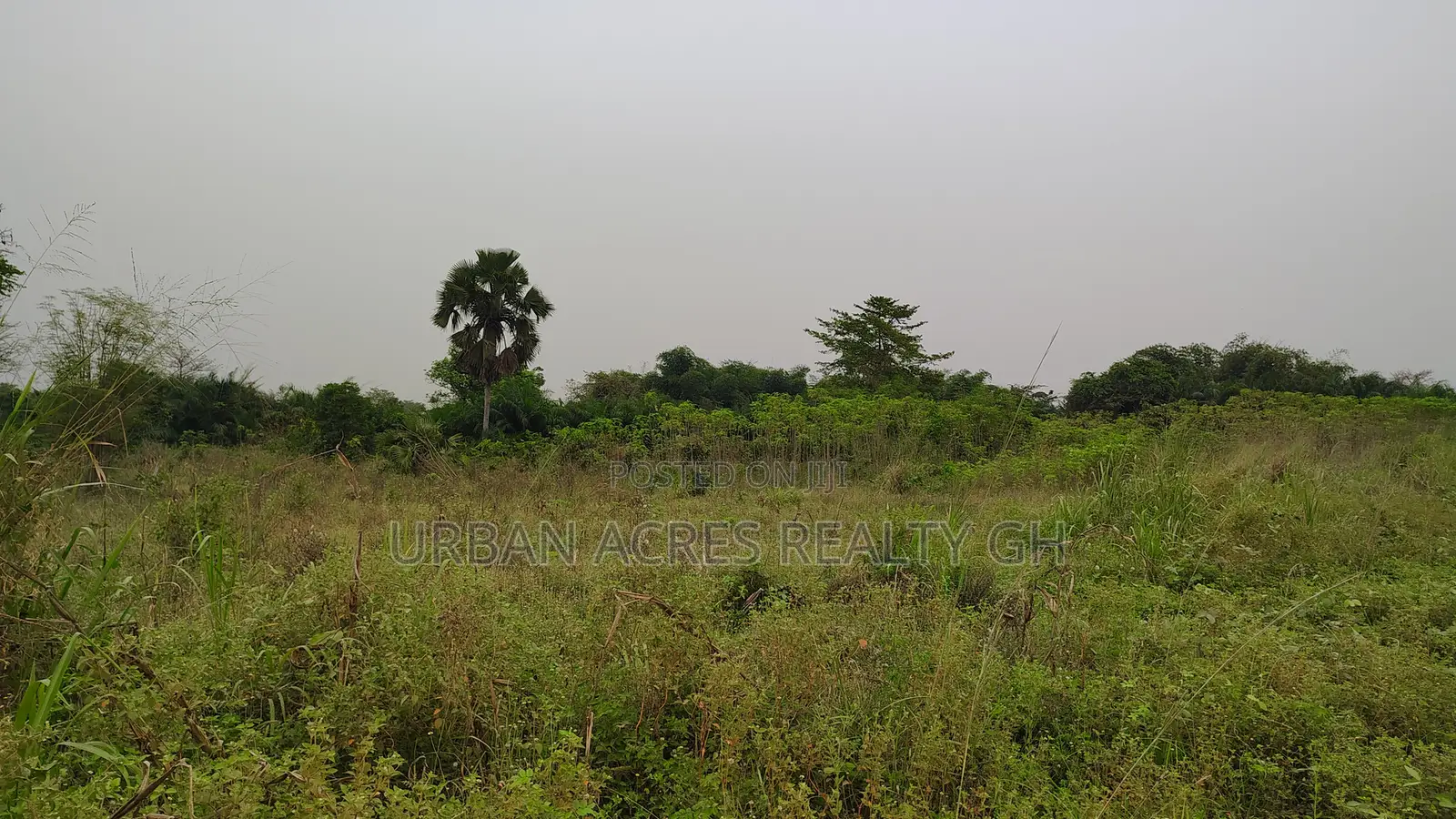 Volta Region, Sokode (Ho - Accra Road) _ 8 Plots of Commercial Land