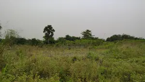 Volta Region, Sokode (Ho - Accra Road) _ 8 Plots of Commercial Land