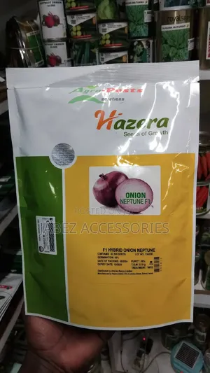 Red Onion Hazera Neptune F1 Seed